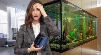 Acquario in casa, occhio ai costi: dall’acqua all’elettricità, i dettagli da non sottovalutare